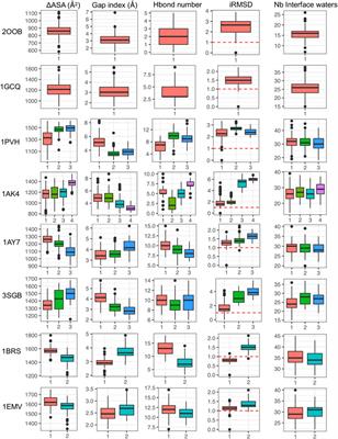 A dynamical view of protein-protein complexes: Studies by molecular dynamics simulations